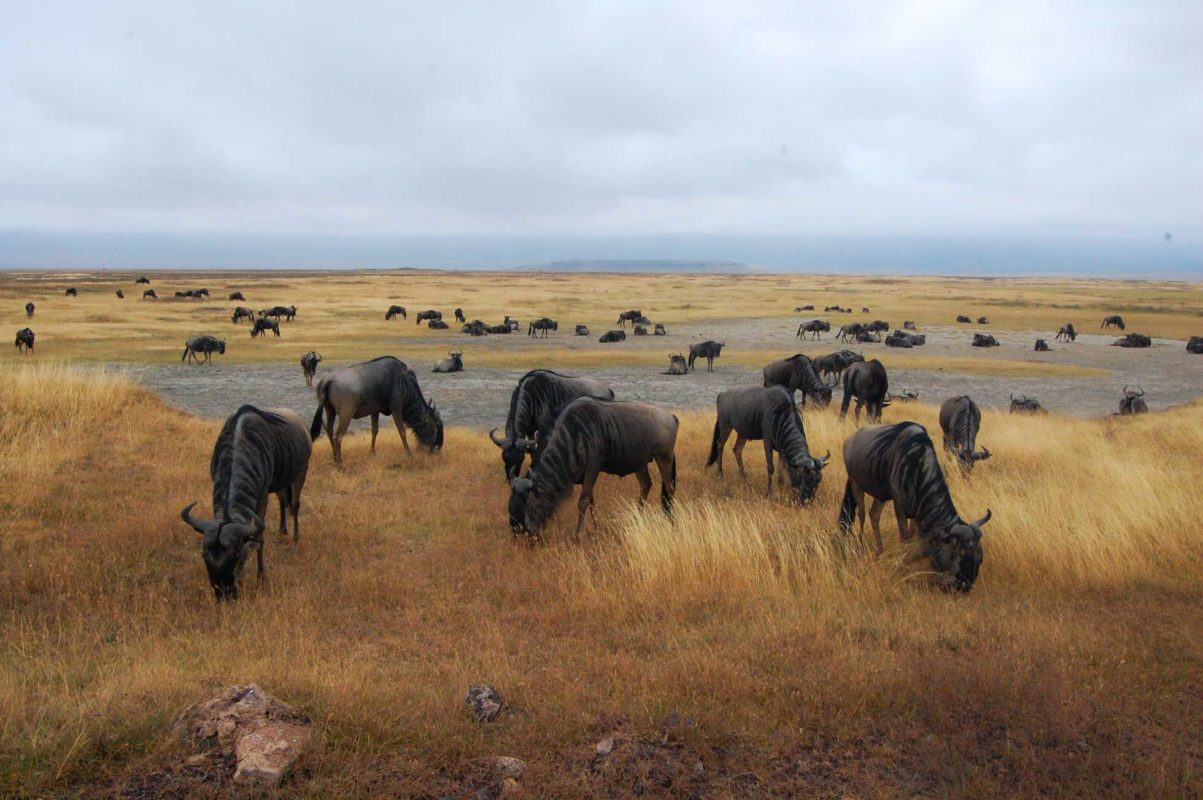 Tanzania